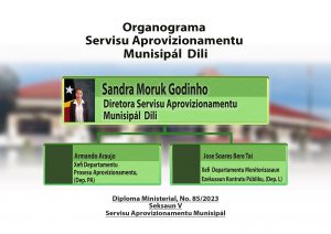 Organograma Servisu Aprovizionamentu Munisipál Dili